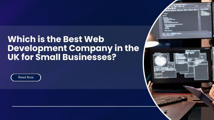 Which is the Best Web Development Company in the UK for Small Businesses?